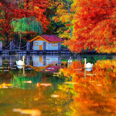 Mały dom nad jeziorem