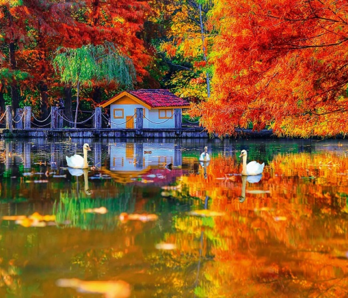 Puzzle - King - Mały dom nad jeziorem