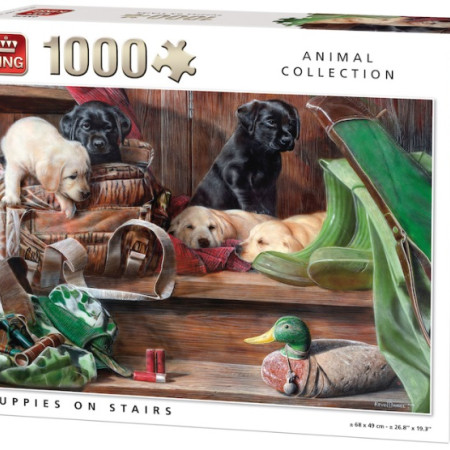 Szczenięta na schodach