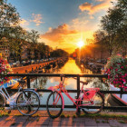 Puzzle - Ravensburger - Rower w Amsterdamie