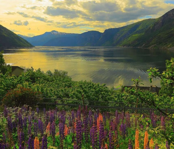 Puzzle - Ravensburger - Fiord w Norwegii