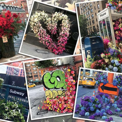 Kwiaty w Nowym Jorku