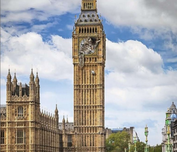 Puzzle - Ravensburger - Kot na Big Benie