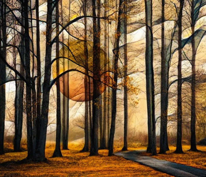 Puzzle - Schmidt - Magiczny las