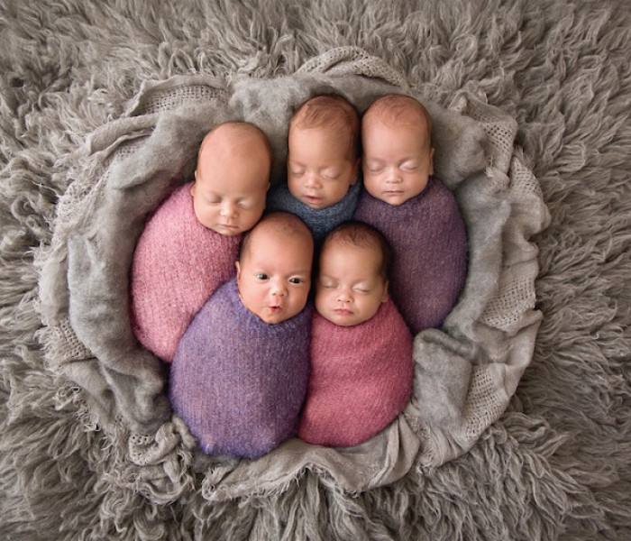 Puzzle - Schmidt - Piątka w kłębku