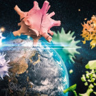 Puzzle - Schmidt - Planeta Ziemia 2020