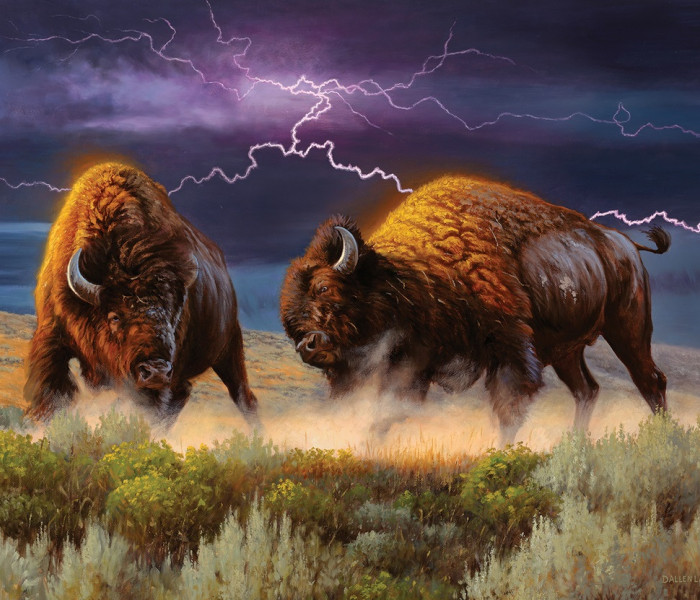 Puzzle - Sunsout - Bizony