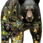 Puzzle - Sunsout - Niedźwiedź