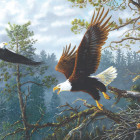 Puzzle - Sunsout - Orle gniazdo