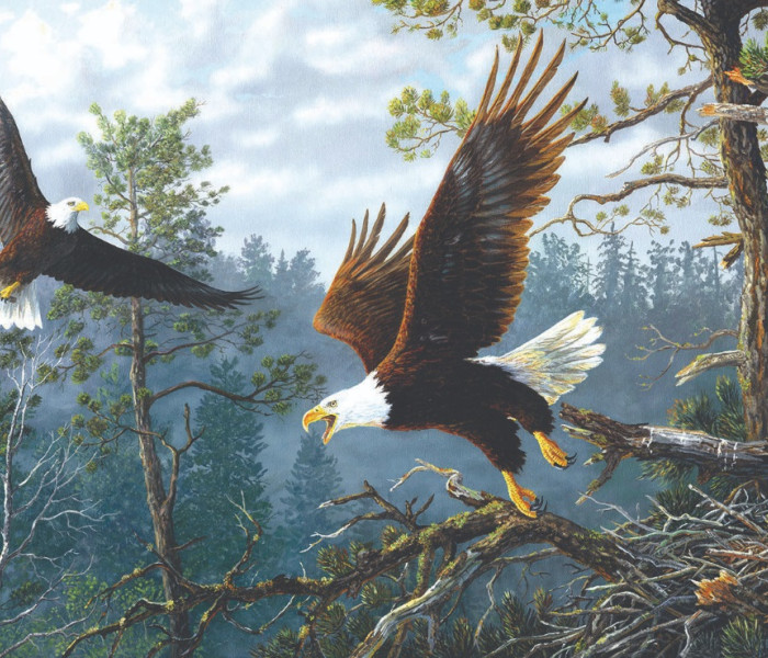 Puzzle - Sunsout - Orle gniazdo