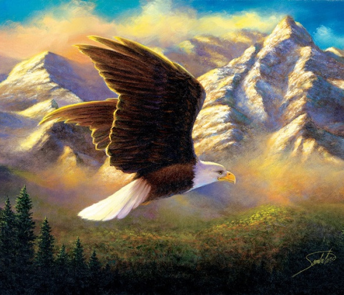 Puzzle - Sunsout - Orzeł