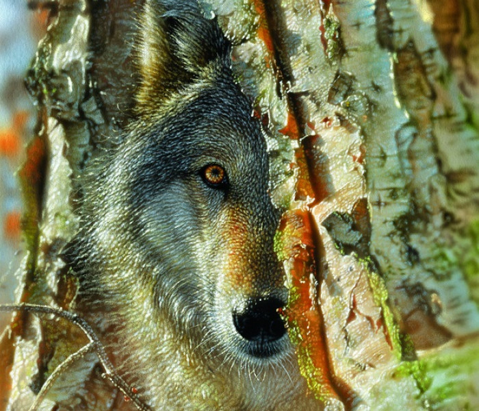 Puzzle - Sunsout - Wilk