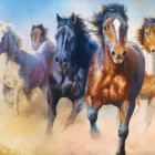 Puzzle - Trefl - Galopujące konie
