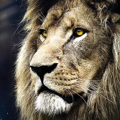 Portret lwa
