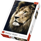 Puzzle - Trefl - Portret lwa
