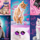 Puzzle - Trefl - Super Koty