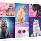Puzzle - Trefl - Super Koty