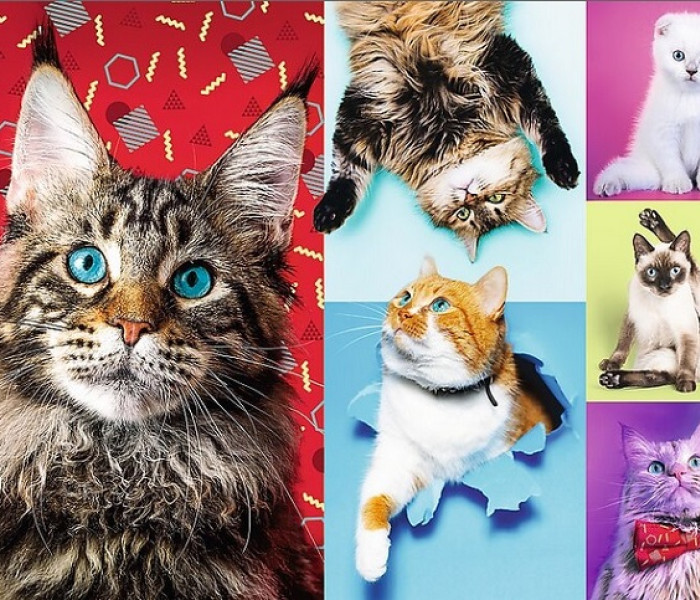 Puzzle - Trefl - Szczęśliwe koty