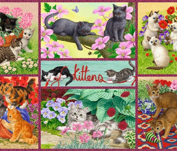 Puzzle - Falcon - Zabawne kocięta